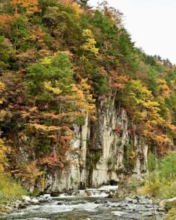 南会津町の屏風岩。
3連休の中日という事で、紅葉目当てにツーリングやドライブで訪れた方で賑わっていました。
地元の観光協会さんが物販ブースを出店。
鮎の塩焼きをいただきながら見る紅葉は格別でした。