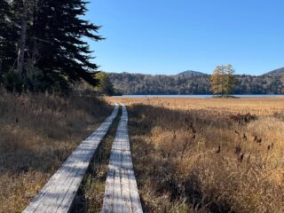 晩秋の尾瀬ツアー1日目。
今日は快晴の空で最高の尾瀬日和。
気温は低いですが、太陽のおかげで暖かく歩く事ができました。
澄んだ空気で燧ヶ岳もいつも以上にクッキリ見えます。
三本カラマツの紅葉も進んで、周囲のダケカンバと合わせて綺麗ですね。
段小屋坂から下がっていけば、落ち葉を踏み締める気持ちのいい道に。
日が短いので山小屋に早めについて、人の少ない尾瀬を満喫できました。