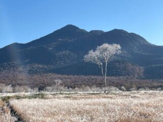 晩秋の尾瀬ツアー2日目。
今朝の気温は-4℃まで下がり、湿原全体が霜に覆われ晩秋の雰囲気。
木道で転ばないように滑り止めをつけて出発。
昨日に続いて快晴の尾瀬ヶ原を歩く。
太陽が昇るにつれて徐々に霜も溶け出し、足取り軽く鳩待峠に下山。
この時期だからこその景色を、尾瀬シーズンの最後に見納めできました。
寒い中2日間ありがとうございました。
尾瀬の宿泊ツアーはこれにて終了。
今月末は奥只見ツアーを開催予定です♪