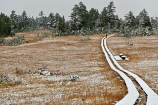 雪の尾瀬。
昨日から今朝にかけての降雪で白くなった尾瀬エリア。
御池から上田代を散歩して様子を見てきました。
シャトルバスも終わったので御池駐車場に車はほとんど無く、御池田代より先は動物の足跡以外は見当たらない静かな尾瀬。
うっすら白く染まった湿原と、終わりかけの紅葉がこの時期ならではの景色を演出。
車で国道352号線を新潟方面に進めば今が見頃の紅葉に出会えました。