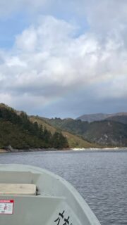 毎年恒例になりつつある奥只見湖のボート送迎のお手伝い。
今朝は湖上に濃い霧が立ち込めていましたが、日が昇るにつれて青空も見えて虹が掛かる瞬間もありました。
紅葉は上の方から進んで良い感じ。
白い岩肌と、赤や黄色のコントラストが綺麗です。
これから更に良くなっていくと思うので、今から楽しみですね♪