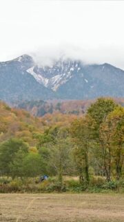 秘境の紅葉ツアー2日目。
国道352号線をひた走り尾瀬の入山口、御池を目指す。
道中の紅葉は大変素晴らしく、山並みが燃えるような景色を堪能。
(運転のため、写真、動画は撮れず)
御池到着後は裏燧林道を西田代まで歩く。
ここまで標高を上げるとほとんど落葉して木道には先日積もった雪が残る初冬の景色。
上田代で魚沼産コシヒカリのおにぎりをいただき、下山後はモーカケの滝と、檜枝岐村内の紅葉を堪能。
2日間でひたすら紅葉を目に焼き付けるツアーとなりました。
以前より奥只見から入り尾瀬を目指す、只見川を下流から上流へ遡り、水を追いかけ歴史を辿る行程を組みたいと考え実施する事ができました。
二日間ご参加いただいた皆様、ありがとうございました。
これにて今シーズンのガイドツアーは終了です。
来年は更に尾瀬と周辺地域を繋げた、他にないツアーを実施していきたいと思いますので、引き続き宜しくお願いします。