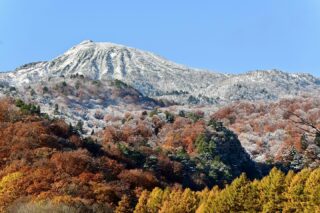 11/4(火)今朝の燧ヶ岳。
今日は晴れ予報だったので、冠雪した燧ヶ岳が見られると思い朝から七入の尾瀬看板まで行ってきました。
紅葉も進んで黄色から赤茶色に変わり、その上に雪が降り積もってグラデーションとなった素晴らしい景色。
刻一刻と冬が近づくのを感じさせますね。
今年はどんな雪景色が見られるか今から楽しみです。